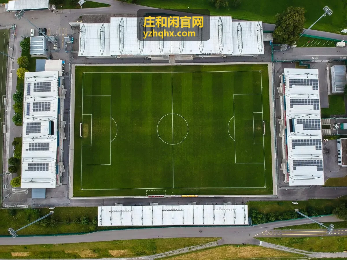 品牌动态对照观察封面图 - 庄和闲官网行业资料